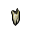 orc tooth