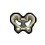 pelvis bone