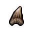quara bone
