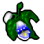 holy orchid