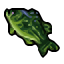 green perch