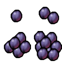 plum