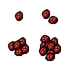 raspberry