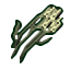 swamp grass