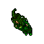 Aisha