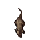 Rat