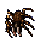 Tarantula