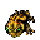 Toad